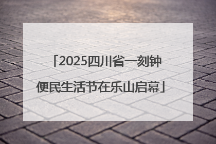 2025四川省一刻钟便民生活节在乐山启幕
