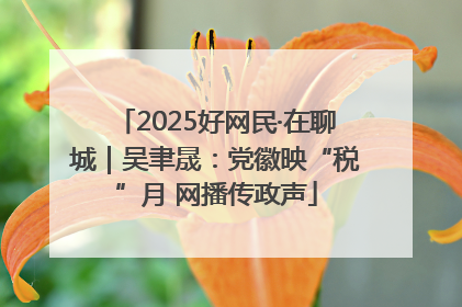 2025好网民·在聊城｜吴聿晟：党徽映“税”月 网播传政声
