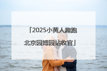 2025小黄人趣跑北京园博园站收官