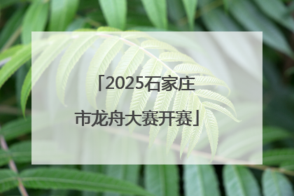 2025石家庄市龙舟大赛开赛