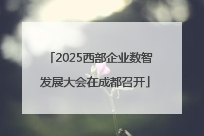 2025西部企业数智发展大会在成都召开