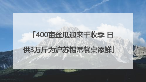 400亩丝瓜迎来丰收季 日供3万斤为沪苏锡常餐桌添鲜