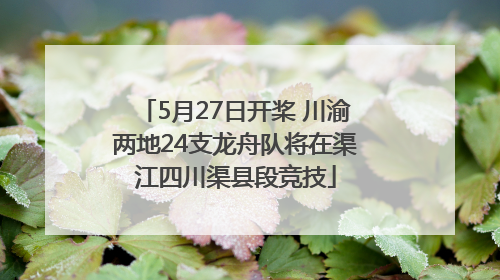 5月27日开桨 川渝两地24支龙舟队将在渠江四川渠县段竞技