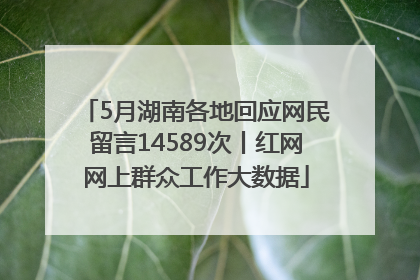5月湖南各地回应网民留言14589次丨红网网上群众工作大数据