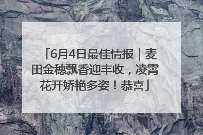 6月4日最佳情报｜麦田金穗飘香迎丰收，凌霄花开娇艳多姿！恭喜