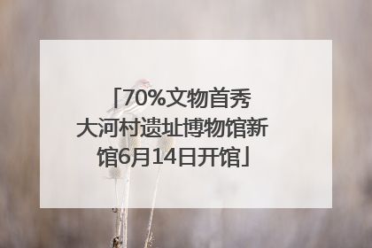 70%文物首秀 大河村遗址博物馆新馆6月14日开馆