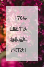 70头白犀牛从南非运抵卢旺达