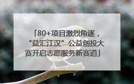 80+项目激烈角逐，“益汇江汉”公益创投大赛开启志愿服务新赛道