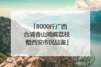 8000斤广西合浦香山鸡嘴荔枝赠西安市民品鉴