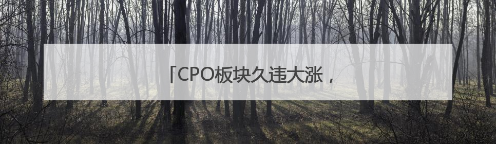 CPO板块久违大涨，“易中天”谁更胜一筹