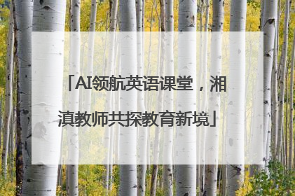 AI领航英语课堂，湘滇教师共探教育新境
