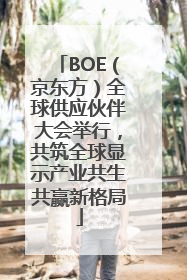 BOE（京东方）全球供应伙伴大会举行，共筑全球显示产业共生共赢新格局