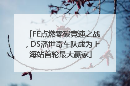 FE点燃零碳竞速之战，DS潘世奇车队成为上海站首轮最大赢家